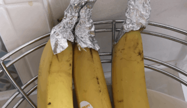 Wife saw a tip on web that wrapping ends of bananas slow down the ripening. Now our bananas has foil conspiracy theorist hats.