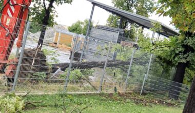 Starkregen, Hagel, Sturmböen – Turbo-Unwetter wütet plötzlich in halb Österreich
