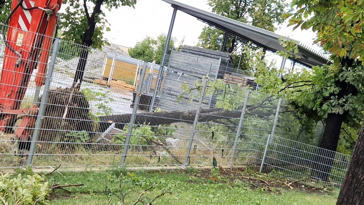 Starkregen, Hagel, Sturmböen – Turbo-Unwetter wütet plötzlich in halb Österreich