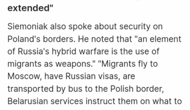 Government: Border controls will be extended