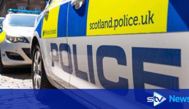 Two dogs die after being left in car during hot weather
