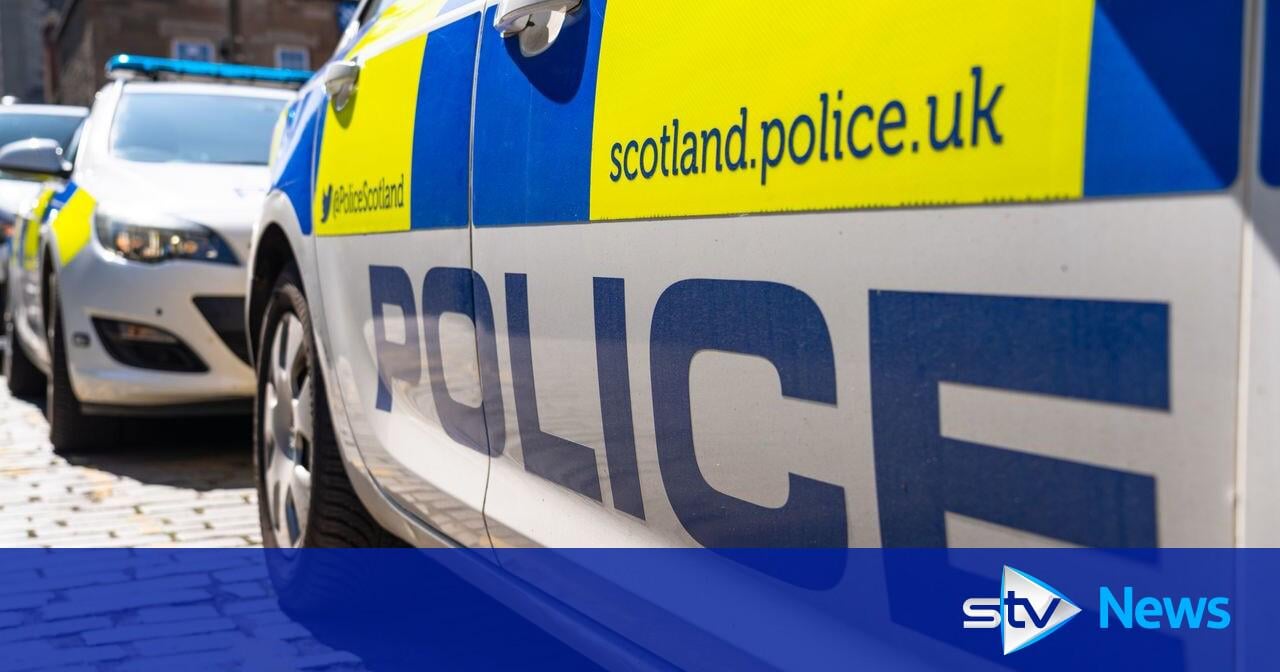 Two dogs die after being left in car during hot weather