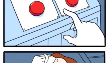 Die Qual der Wahl