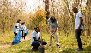 Greece’s Voluntourism Movement: Why Giving Back Is The Ultimate Luxury Experience