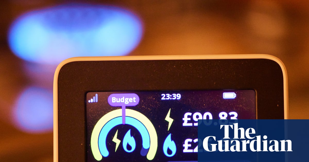 Shield poorer households from costs of clean energy plans, says Ofgem | Ofgem