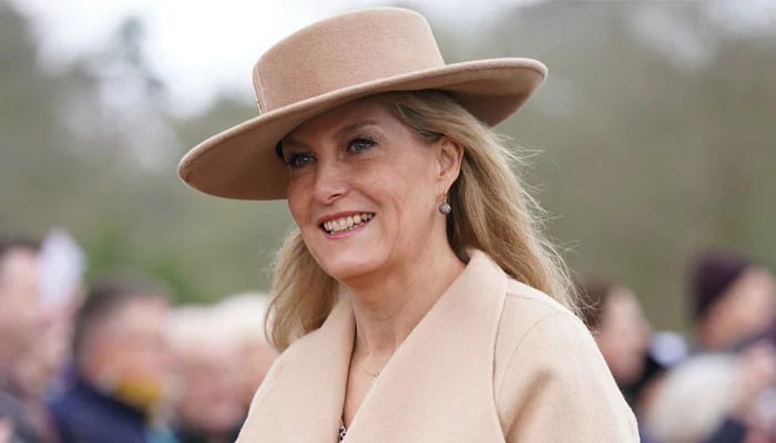 Sophie Wessex opens up about being secret weapon for King Charles