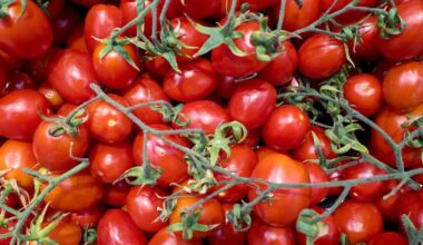 Tomato health warning issued following surge in 'deadly' infections | UK | News