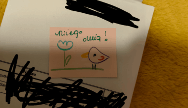 Can you guys help me what this means? Translators gave me false info