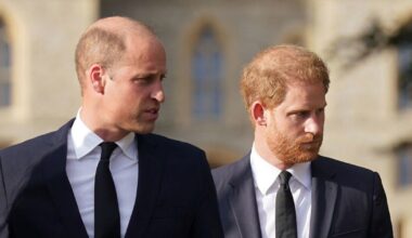 Advisor's 2 conditions before accepting role with William and Harry | Royal | News