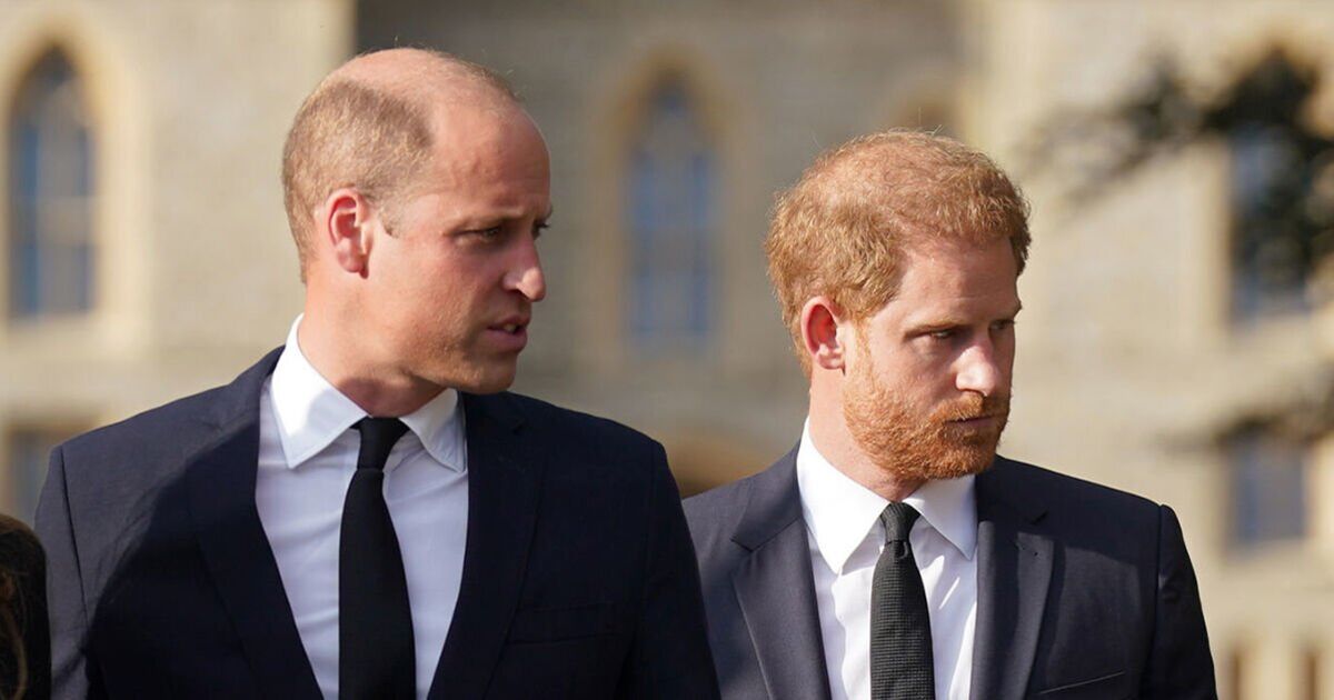 Advisor's 2 conditions before accepting role with William and Harry | Royal | News