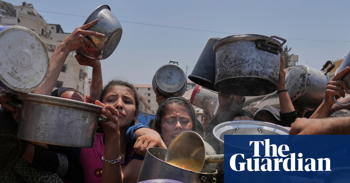 Israeli public figures call for ‘crippling sanctions’ on Israel over Gaza starvation | Gaza