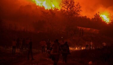 ‘Apocalyptic’ Turkey wildfires spread as 14 killed in blazes sparked by 50C heat. The highest temperatures for July were seen in 132 other locations.
