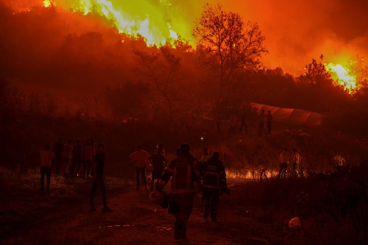 ‘Apocalyptic’ Turkey wildfires spread as 14 killed in blazes sparked by 50C heat. The highest temperatures for July were seen in 132 other locations.