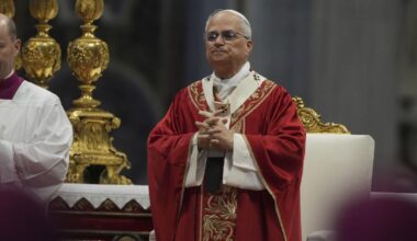Pope Leo XIV signals continuity on fighting abuse with new head of child protection board | National News