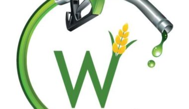 CW Petroleum Corp (OTCQB: CWPE) Reports Revenues for Q2-2025