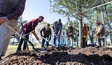 Louisiana nonprofit wins injunction halting AmeriCorps cuts | Courts