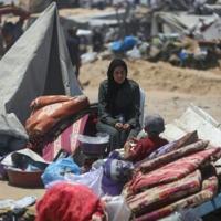 MSF warns acute malnutrition soaring in Gaza | Nation