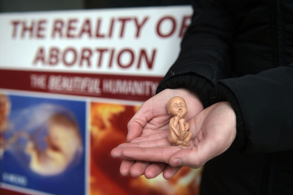 Abortions reach record high in Ireland