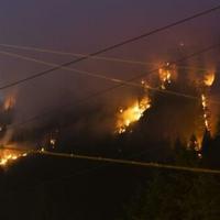 Canada wildfires burn area the size of Croatia | National