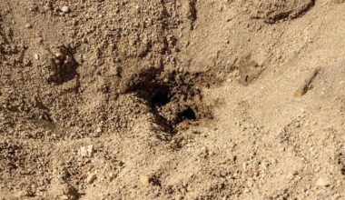 Authorities Search East Wenatchee Crawl Space for Remains | Columbia Basin