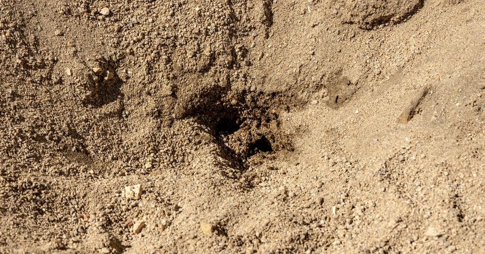 Authorities Search East Wenatchee Crawl Space for Remains | Columbia Basin
