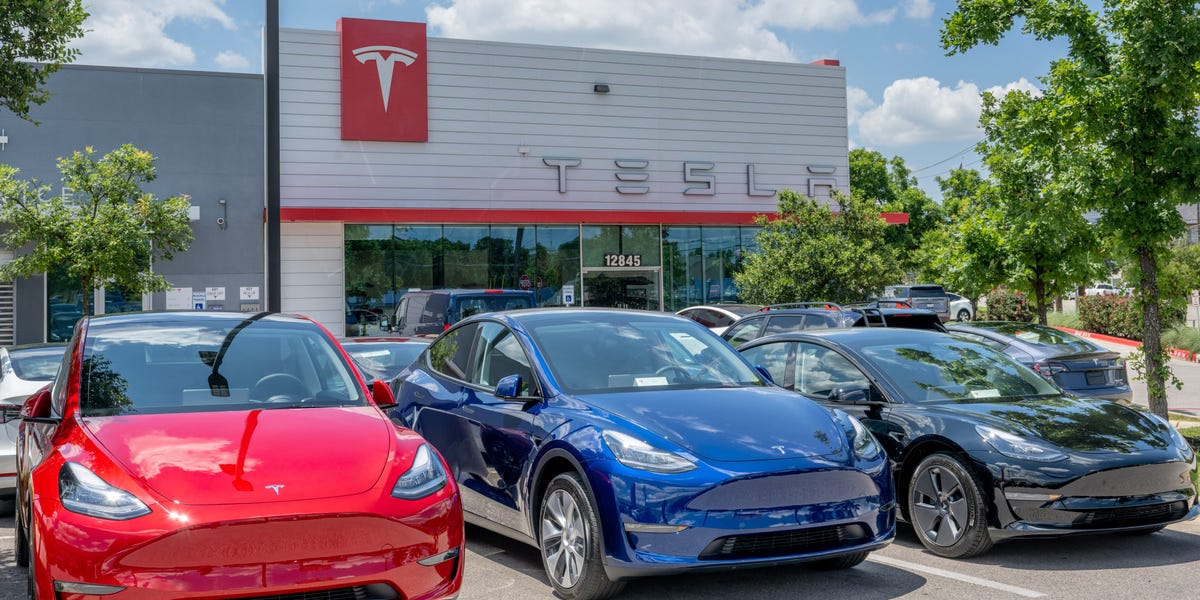 Tesla Earnings Updates: Elon Musk's Politics, EV Demand in Focus