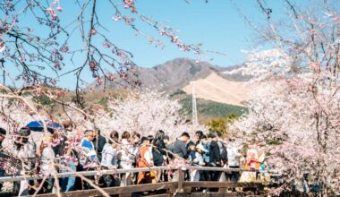 How to Escape the Crowds While Visiting Japan
