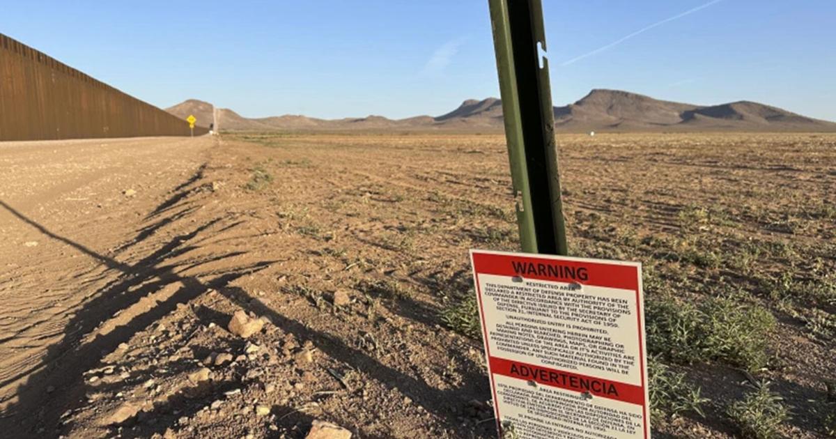 Immigration and border crimes report | State