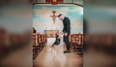 Vatican enlists 'hot priests' to save faith