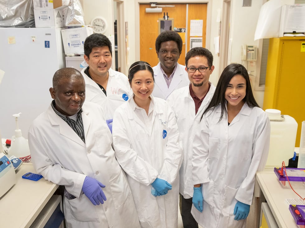 Mulenga, William Tae Heung Kim, Dr. Thu Thuy Nguyen, Dr. Alex Kiarie Gaithuma, Dr Hassan...