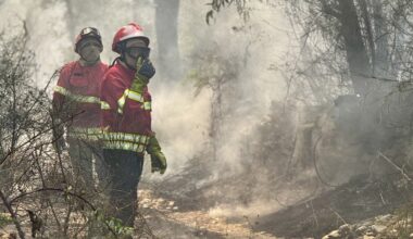 Incêndios em Portugal. A situação ao minuto