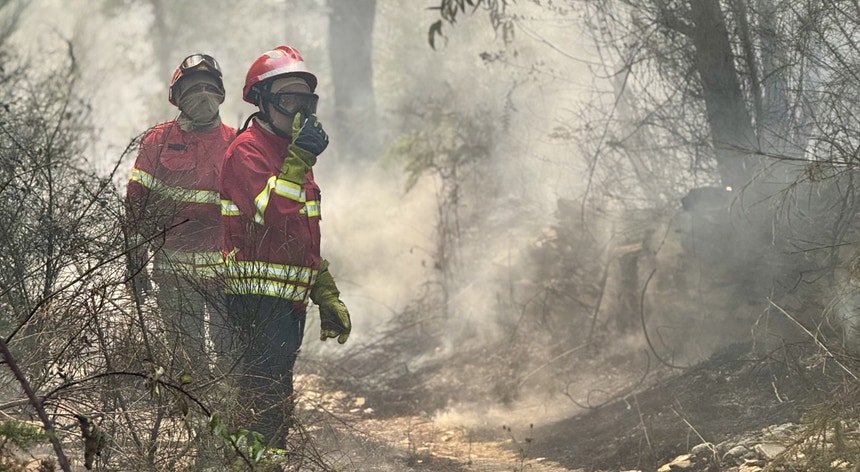 Incêndios em Portugal. A situação ao minuto