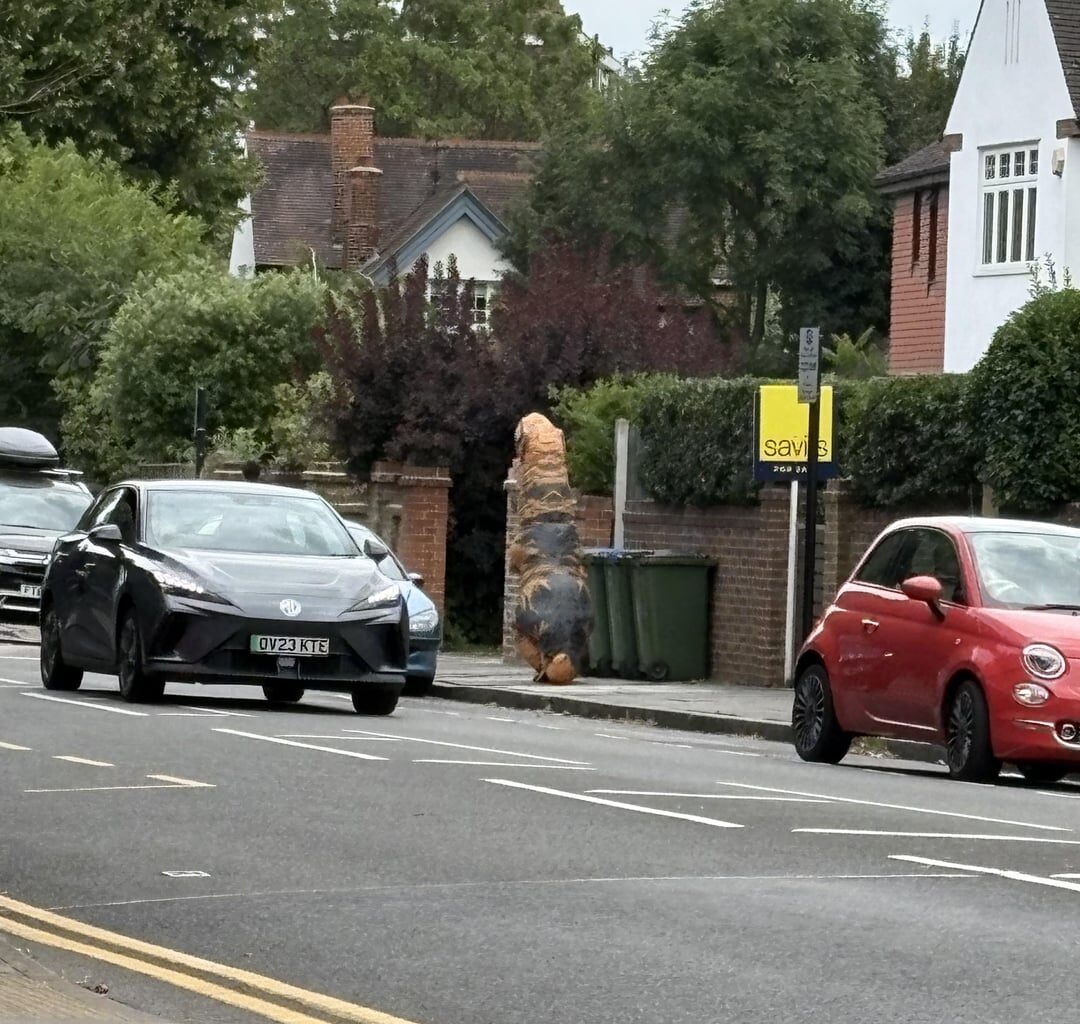 Someone is having an amazing Sunday.