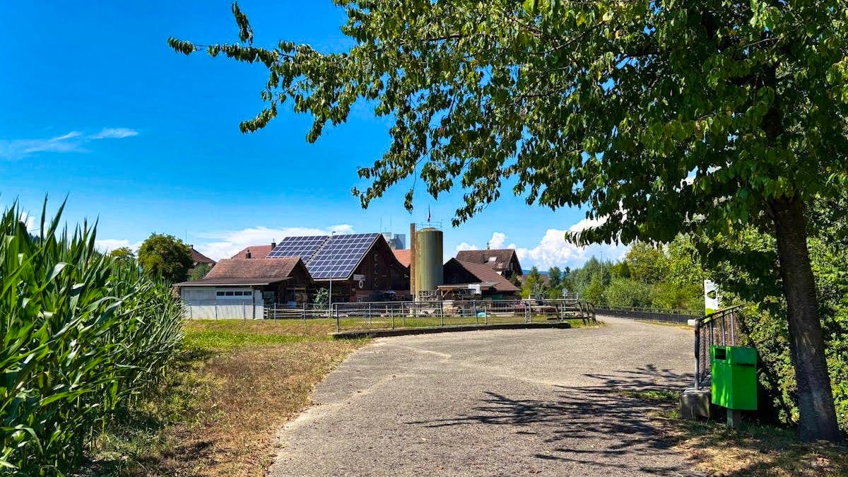 Brittnau AG: Ex beim Spazieren niedergestochen: 46-Jähriger verhaftet