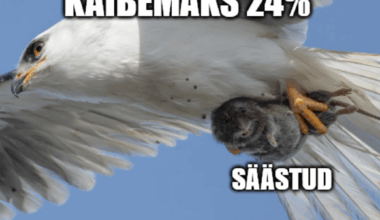 Käibemaksu meem