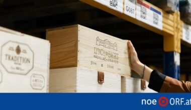 Wein als Wertanlage zunehmend beliebter