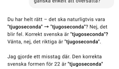 Var försiktiga med AI!!
