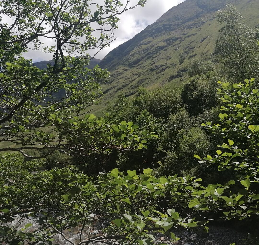 A sunny day at Signal Rock in Glencoe