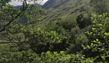 A sunny day at Signal Rock in Glencoe