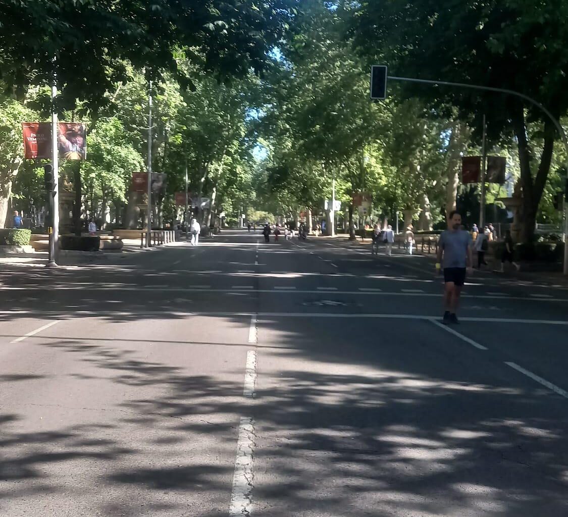 Sunday mornings in Paseo del Prado, Madrid, Spain.