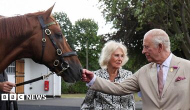 King Charles strokes the nose of a chestnut coloured race horse. He wears a cream coloured suit, white shit and pink tie. Queen Camilla stands behind the King and looks away from him and the horse. She has short grey hair and wears a black and white dress. She is holding a clutch bag in one hand.