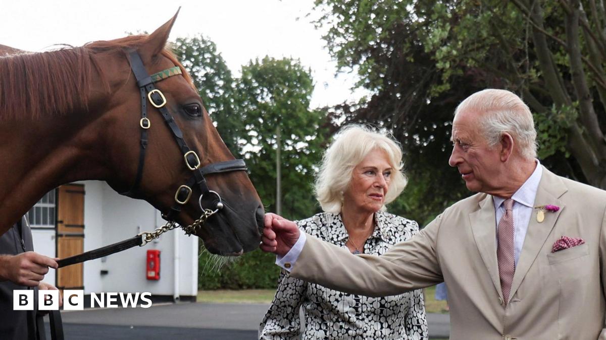 King Charles strokes the nose of a chestnut coloured race horse. He wears a cream coloured suit, white shit and pink tie. Queen Camilla stands behind the King and looks away from him and the horse. She has short grey hair and wears a black and white dress. She is holding a clutch bag in one hand.
