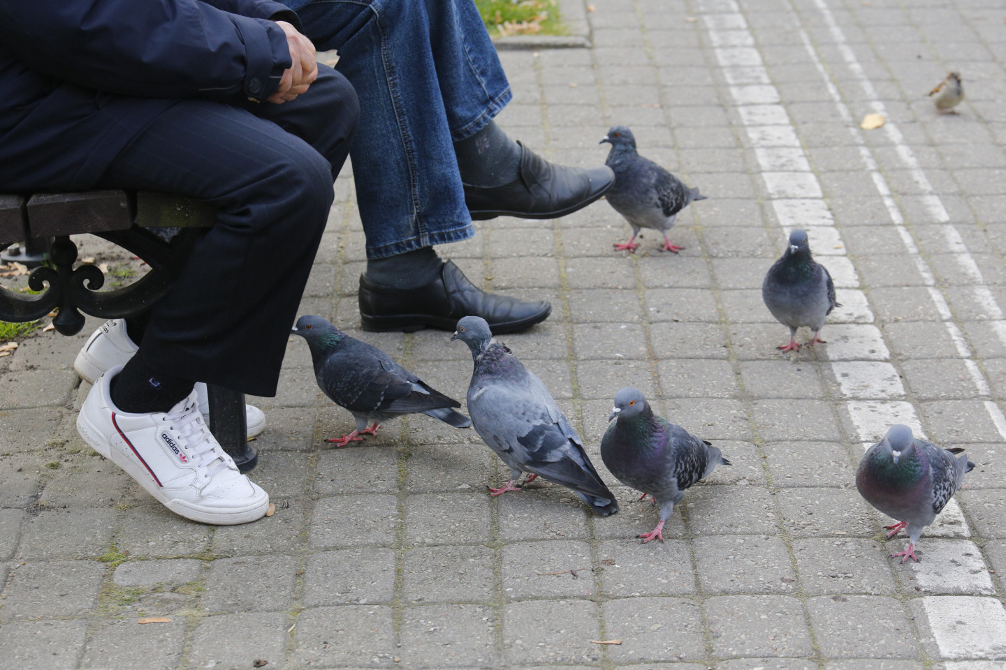 Kāpēc Latvija izmaksā pabalstus Krievijas pensionāriem?