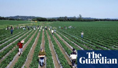 White House rescinds $20m for clean water in pesticide-contaminated rural California
