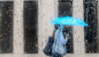 Environment Canada warns severe thunderstorm watch
