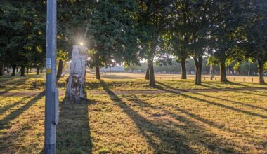 Went on an early morning 6:00 am walk this morning, took some photos... And, dare I say, Newport looks pretty decent in this lighting!