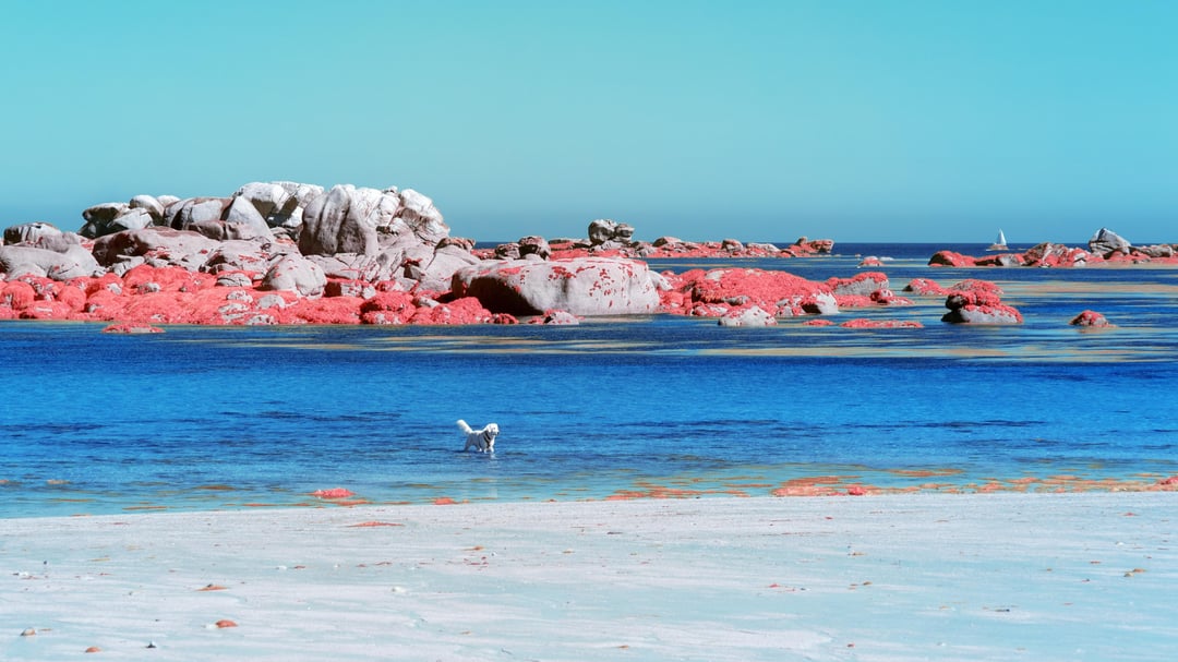 Bretagne en Infrarouge