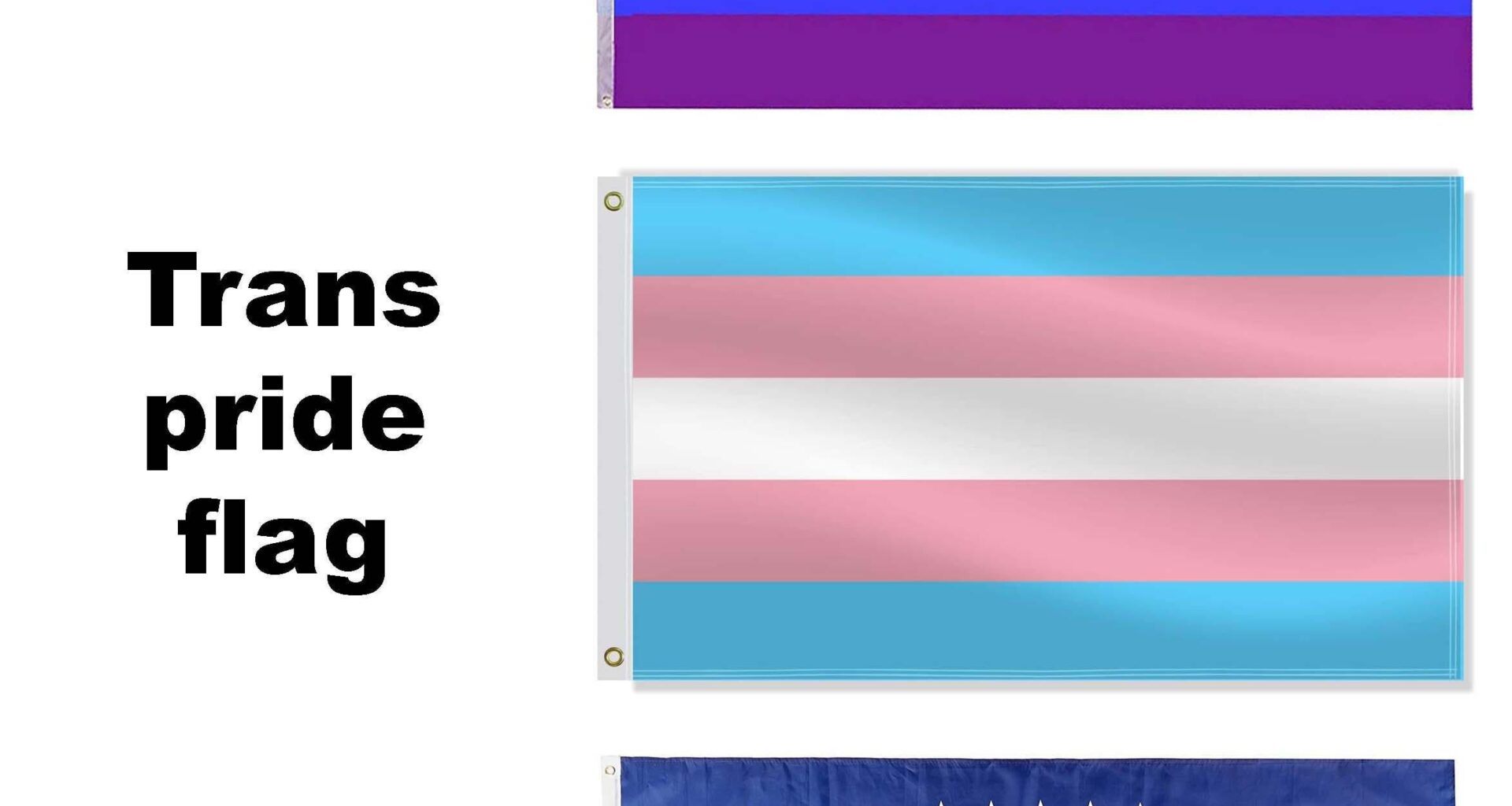 Pride Flag Guide