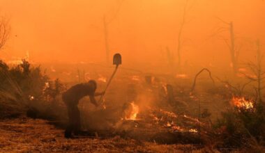 Homes evacuated as wildfires rage across Greece