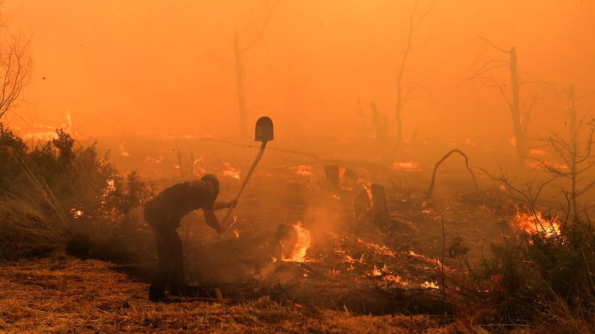 Homes evacuated as wildfires rage across Greece